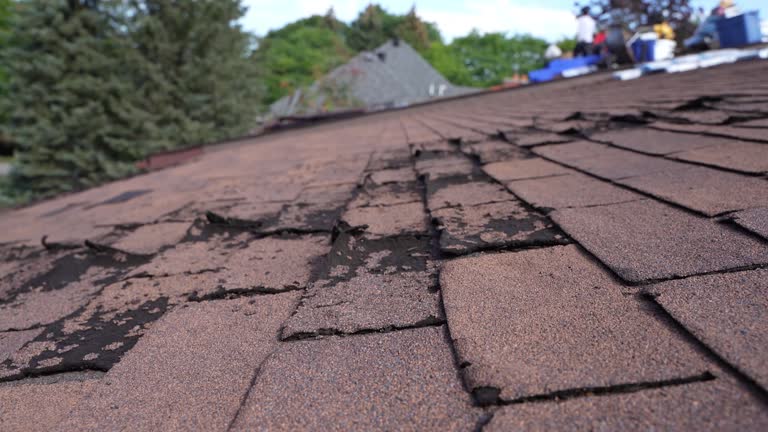 Trusted Albion, NE Roofing Services Experts