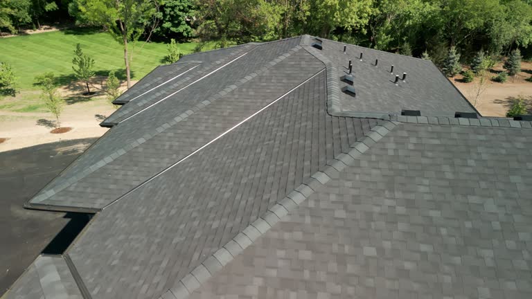 Best Skylight Installation and Repair  in Albion, NE