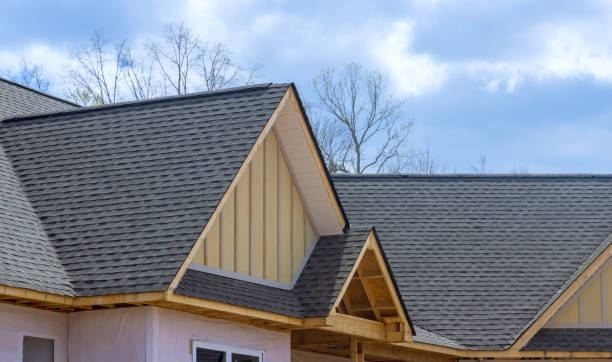 Best Roof Insulation Installation  in Albion, NE