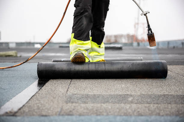 Best Asphalt Shingle Roofing  in Albion, NE