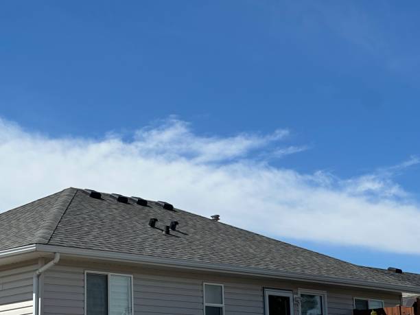 Best Rubber Roofing (EPDM, TPO)  in Albion, NE
